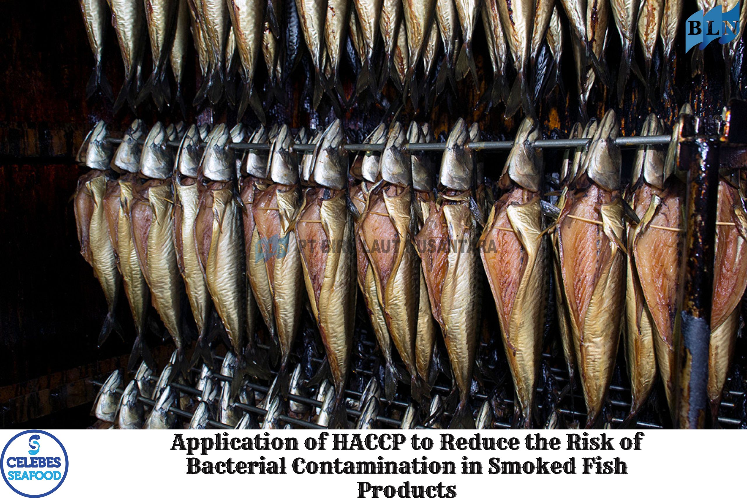 Application of HACCP to Reduce the Risk of Bacterial Contamination in Smoked Fish Products